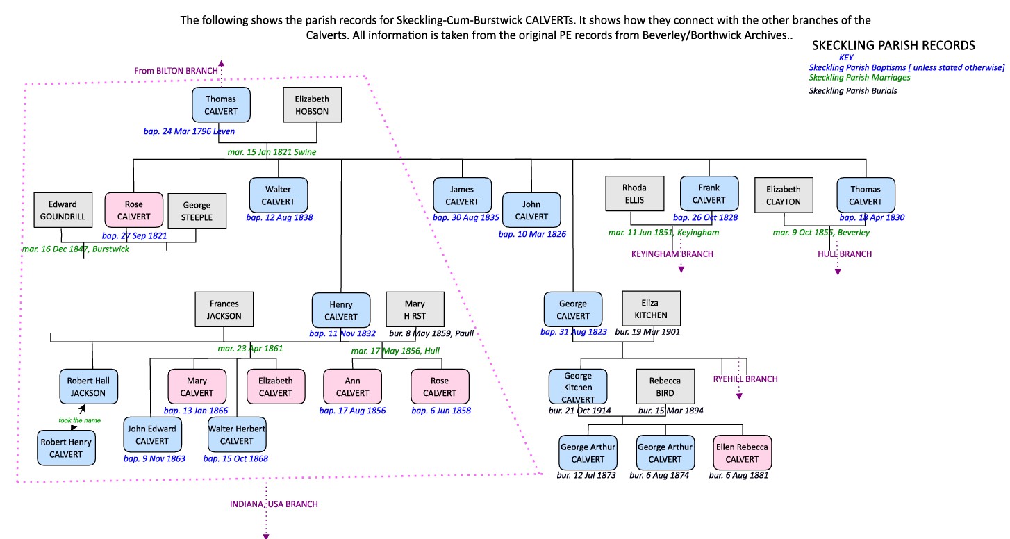 SkecklingTreeCalvert